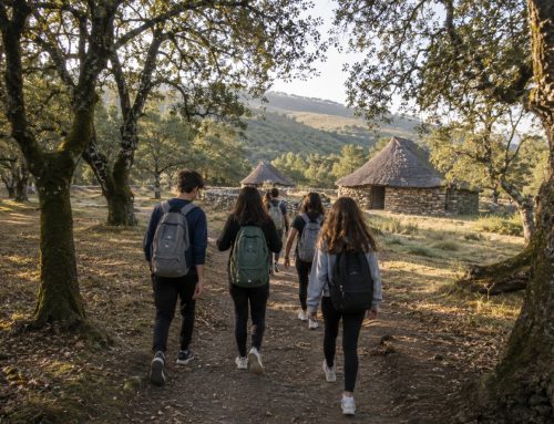 Campamento multiaventura y urbano: diferencias