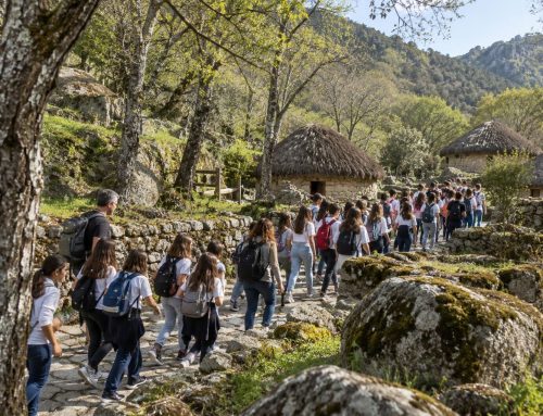 Alquiler instalaciones para grupos Cáceres: qué revisar