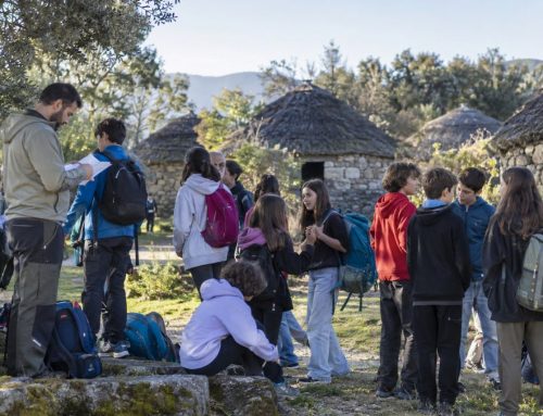 Convivencia escolar: cómo organizar varios días con alumnos